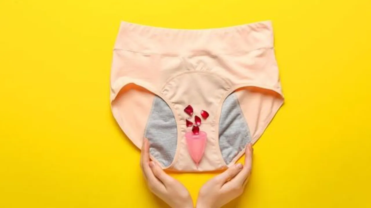Period Panty