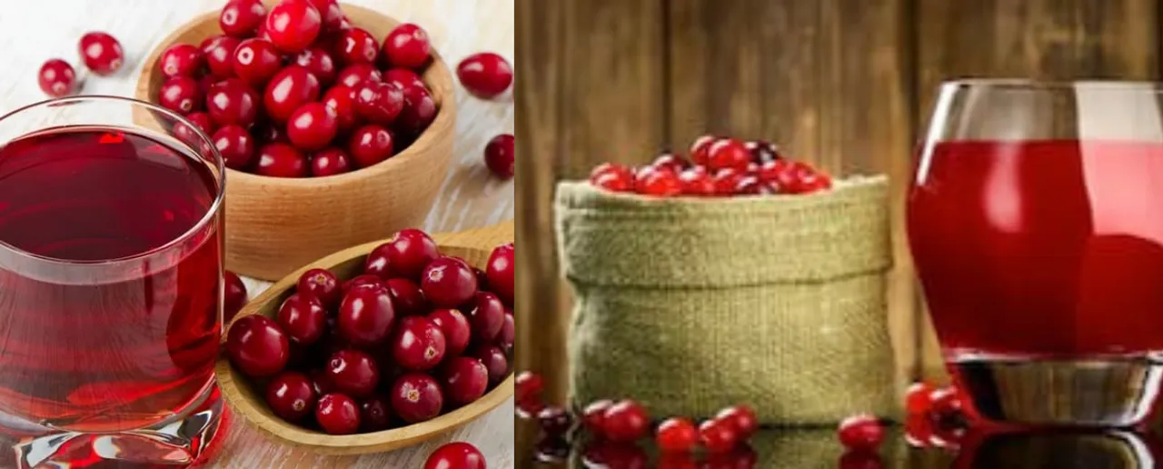 Benefits Of Cranberry Juice: जानें क्रैन्बेरी जूस पीने के 5 बड़े फायदे
