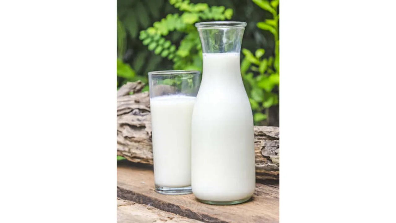 Raw Milk : कच्चे दूध को चेहरे पर लगाने से मिलते हैं 5 बेहतरीन फ़ायदे