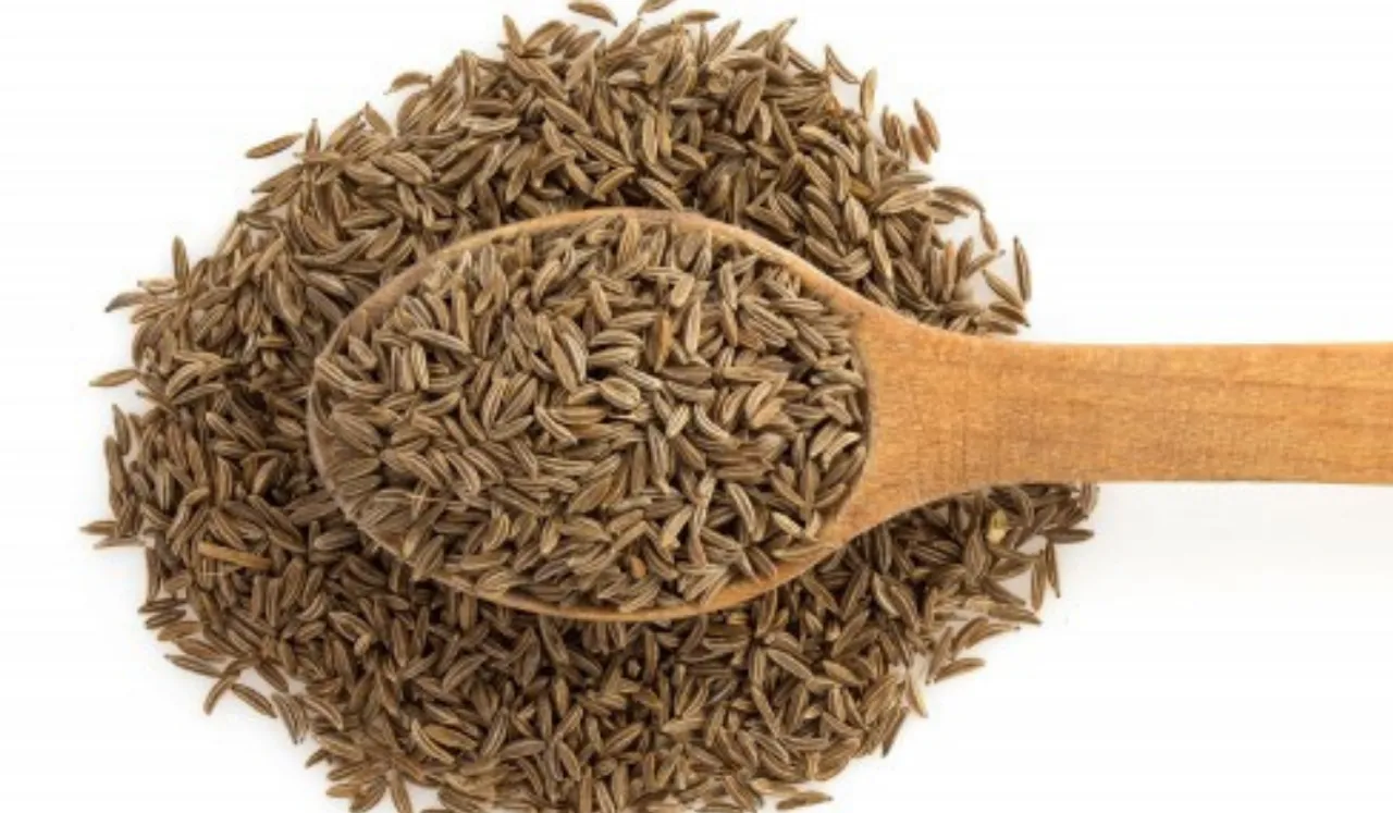 Cumin Seeds(Jivabhumi)