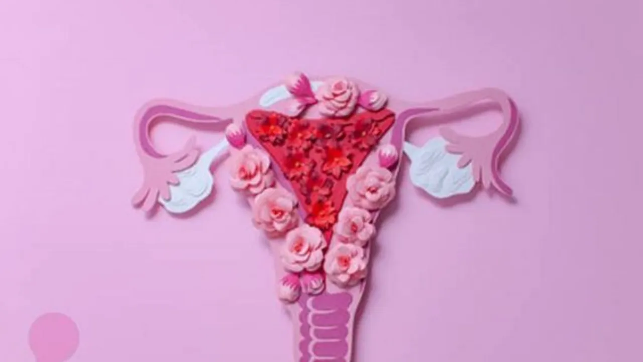 Ovary (PInterest).png