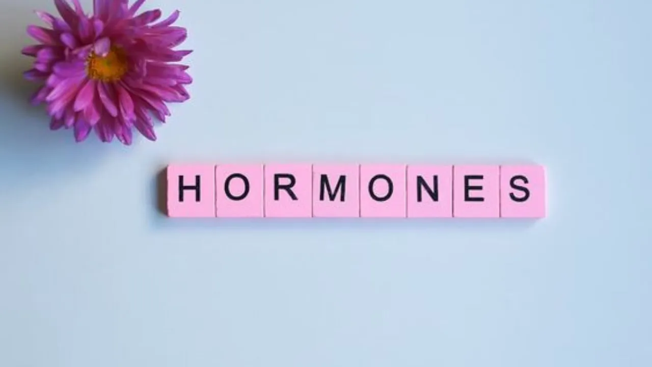 Hormones (Pinterest).png