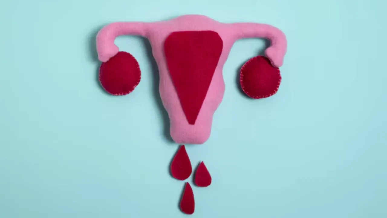 FAQs About Menstruation: जानिए मासिक धर्म से जुड़े कुछ सवालों के जवाब