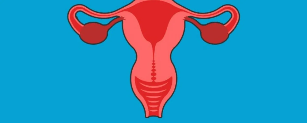 Healthy Vagina : जानें स्वस्थ वजाइना के लिए 6 टिप्स