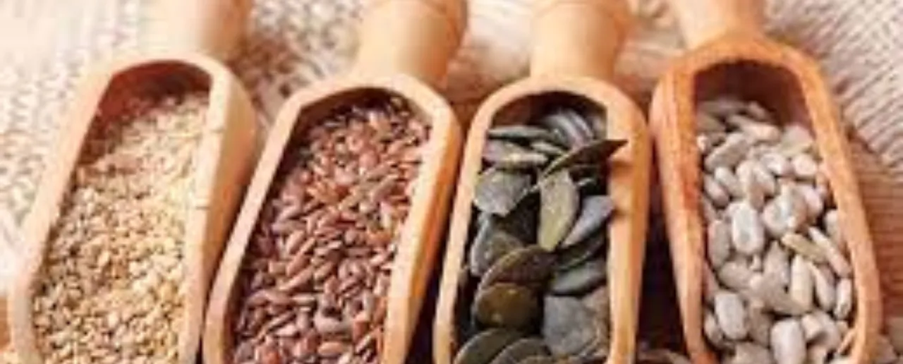 Healthy Seeds: 5 बीज जो अपने आहार में जरूर करें शामिल