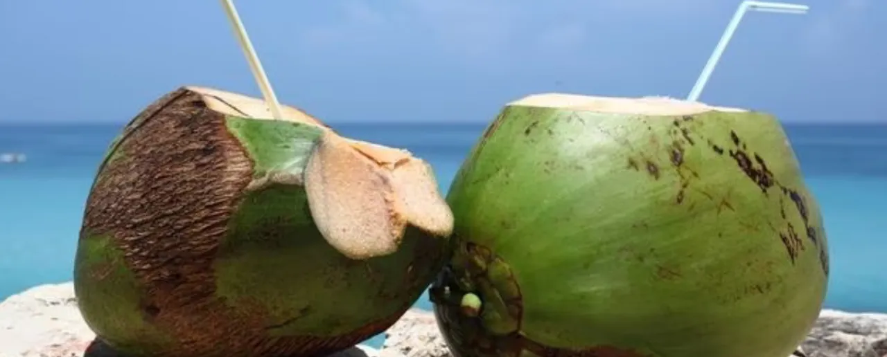 Benefits of Coconut Water: नारियल पानी पीने के 5 फायदे