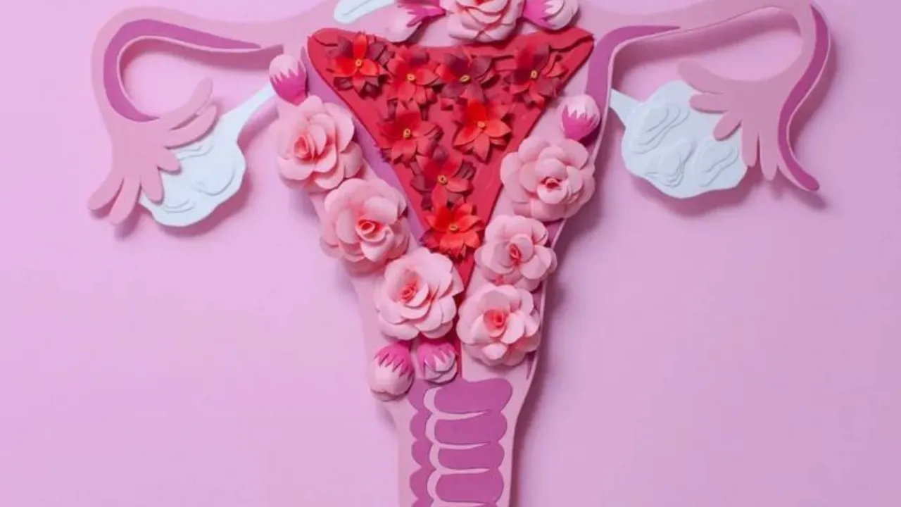 Things about Vagina that are normal