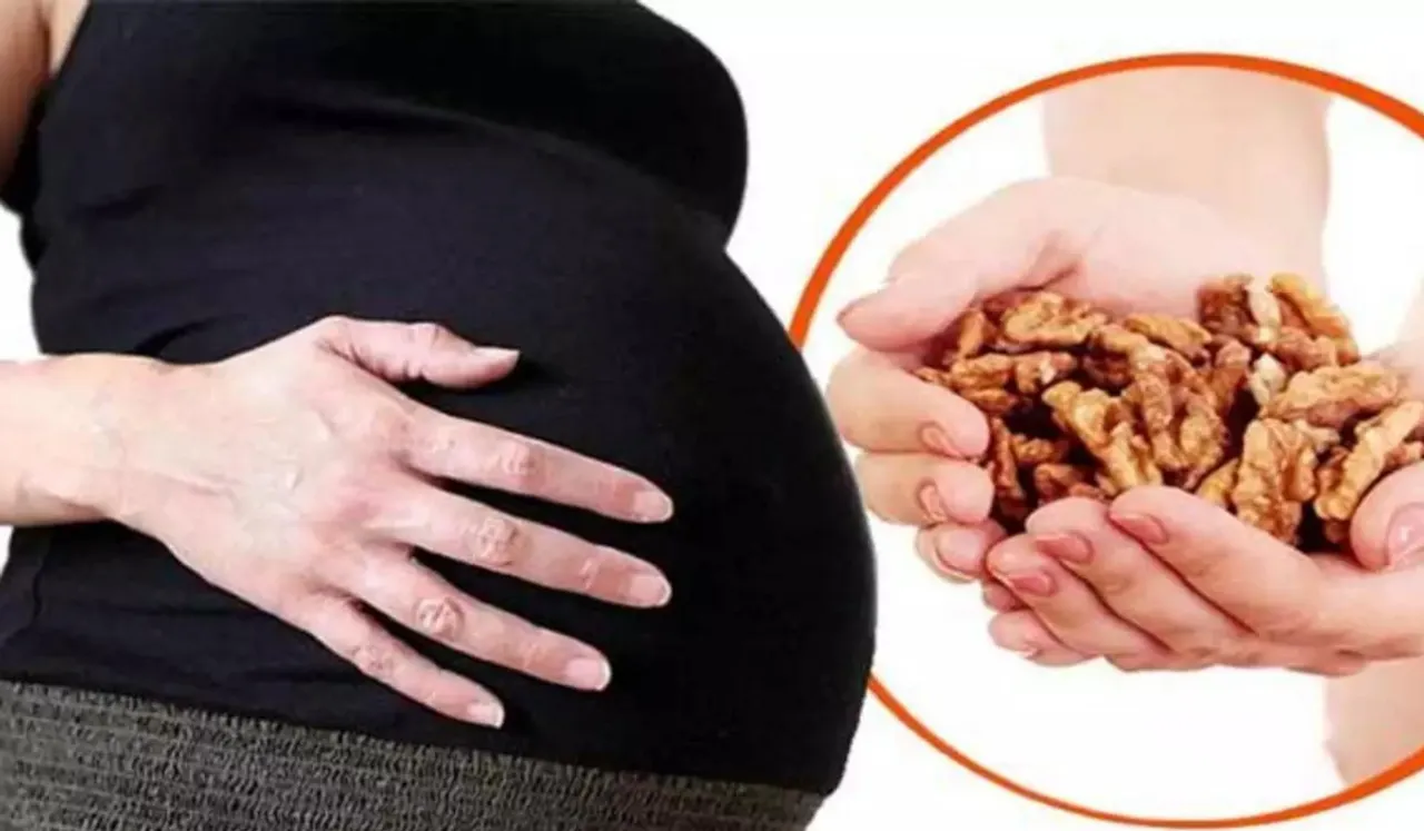 Walnuts For Pregnant Women(Sanjivani Today)
