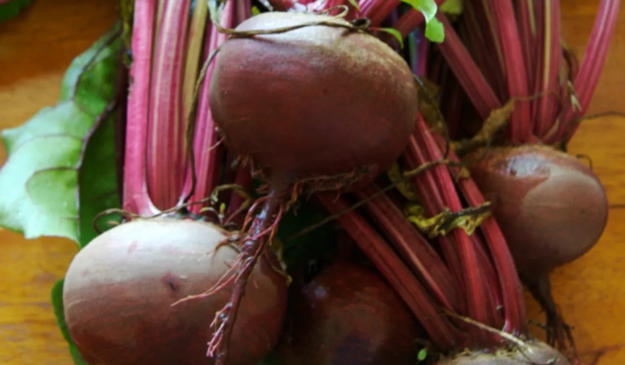 Beetroot 1200 (Wikipedia).png