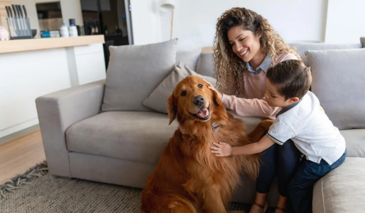 Pet Care(Forbes)