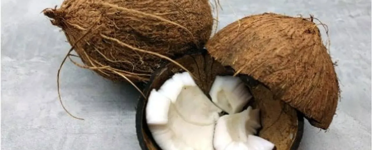 Coconut Benefit: कच्चा नारियल खाने के हैं फायदे अनेक