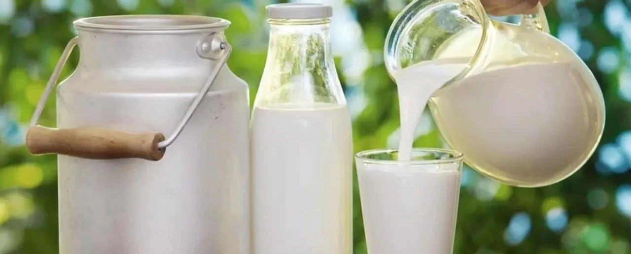5 Foods That Have More Calcium Than 1 Glass of Milk