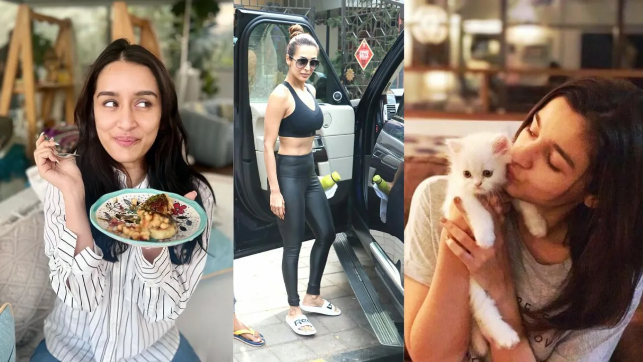 Why Bollywood Celebrities Became Vegan
