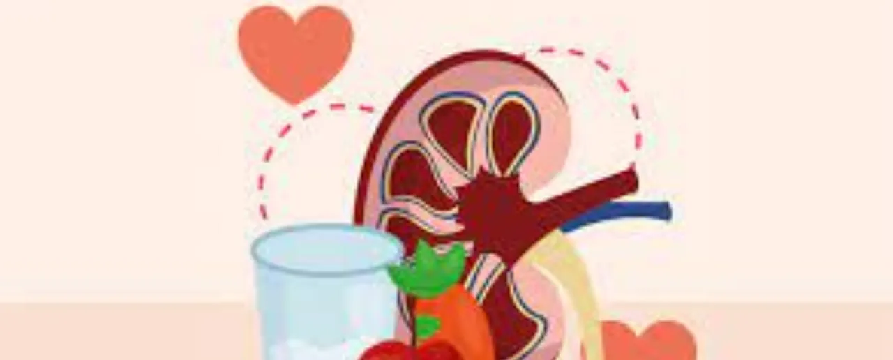 Kidney Health: किडनी के स्वास्थ्य के लिए 5 खाद्य पदार्थ
