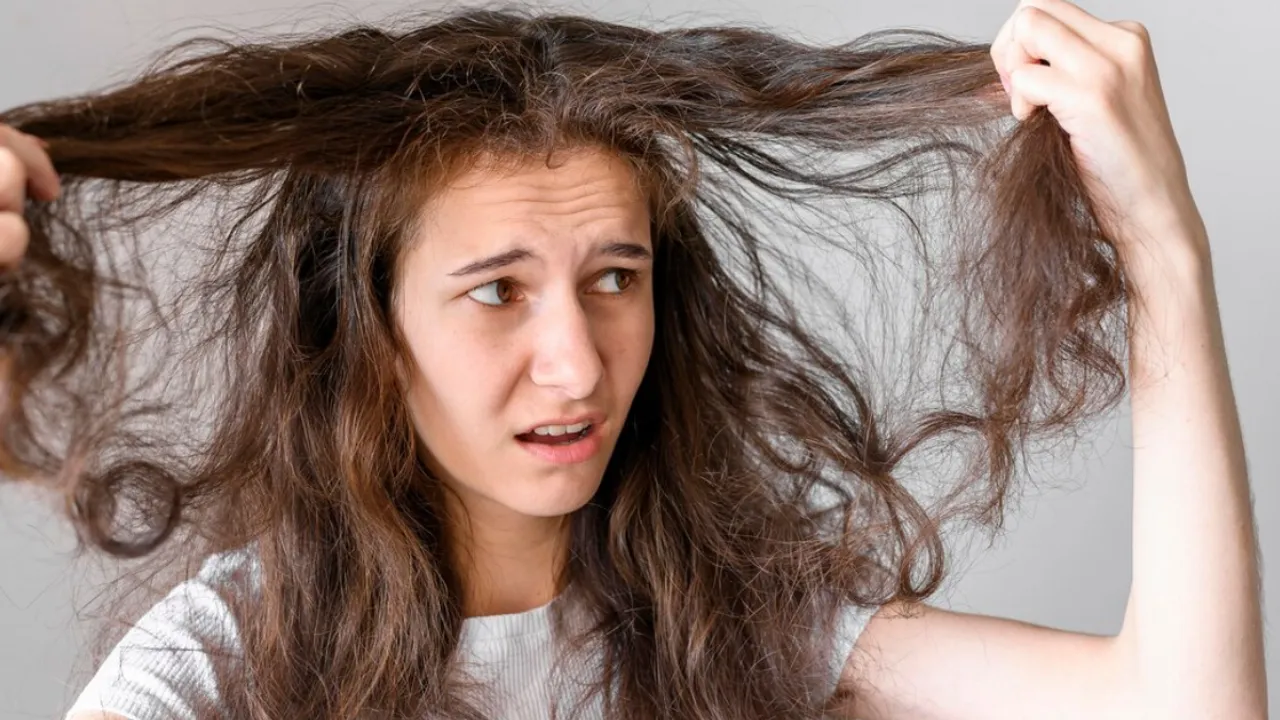 Hair Care Tips: ड्राई और फ्रीज़ी बाल होंगे सही, करें आसान टिप्स फॉलो
