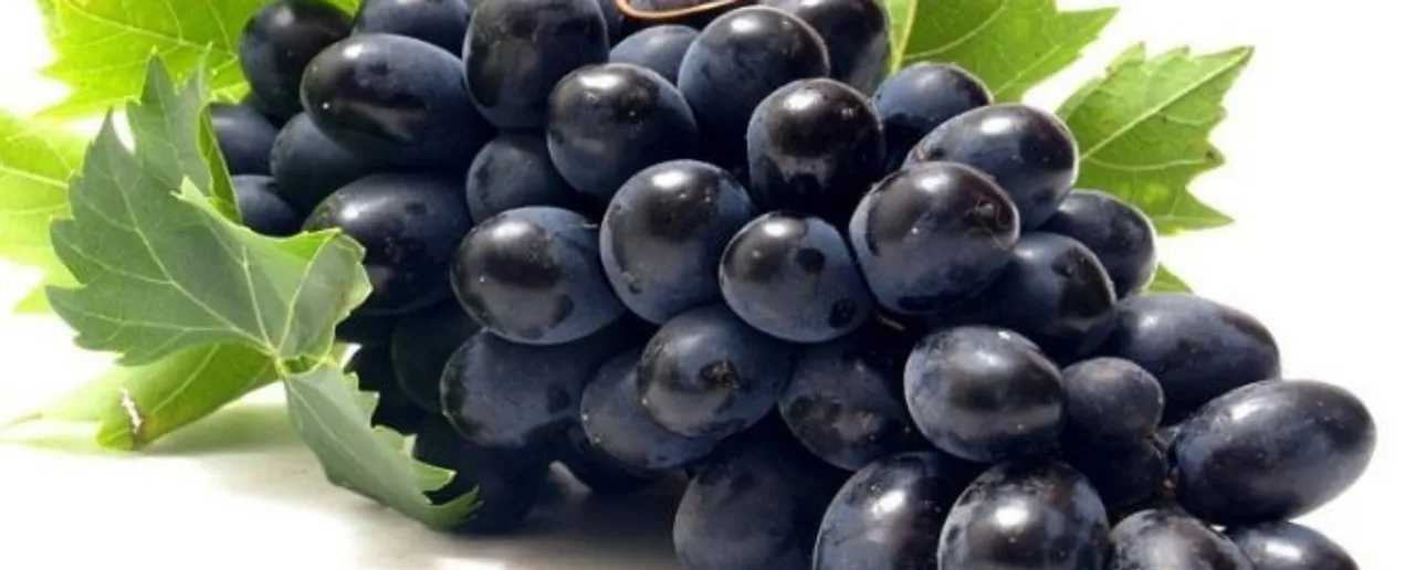Black Grapes: जानें काले अंगूर खाने के 5 बेहतरीन फ़ायदे