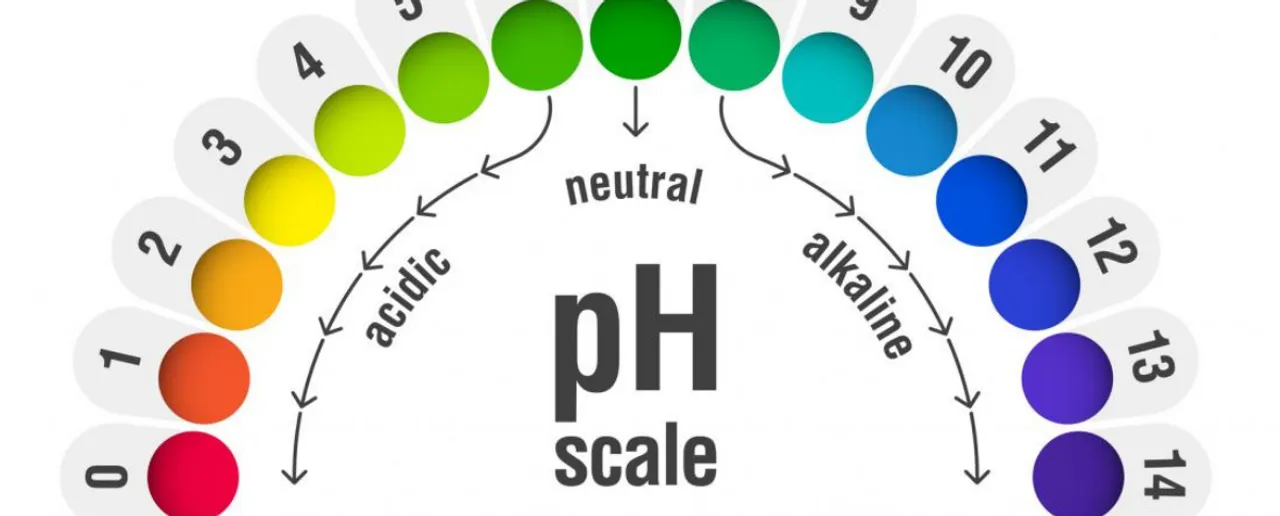 Balanced Ph : जानें कैसे महिलाएं संतुलित कर सकती हैं पीएच