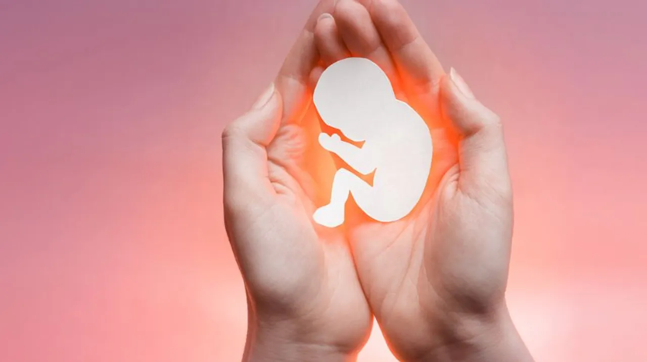 Pregnancy After Miscarriage: गर्भपात के बाद मां बनने के लिए जरूरी बाते