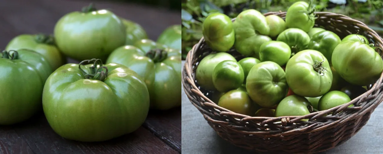 Benefits Of Green Tomato: जानें हरे टमाटर खाने के 5 बड़े फायदे