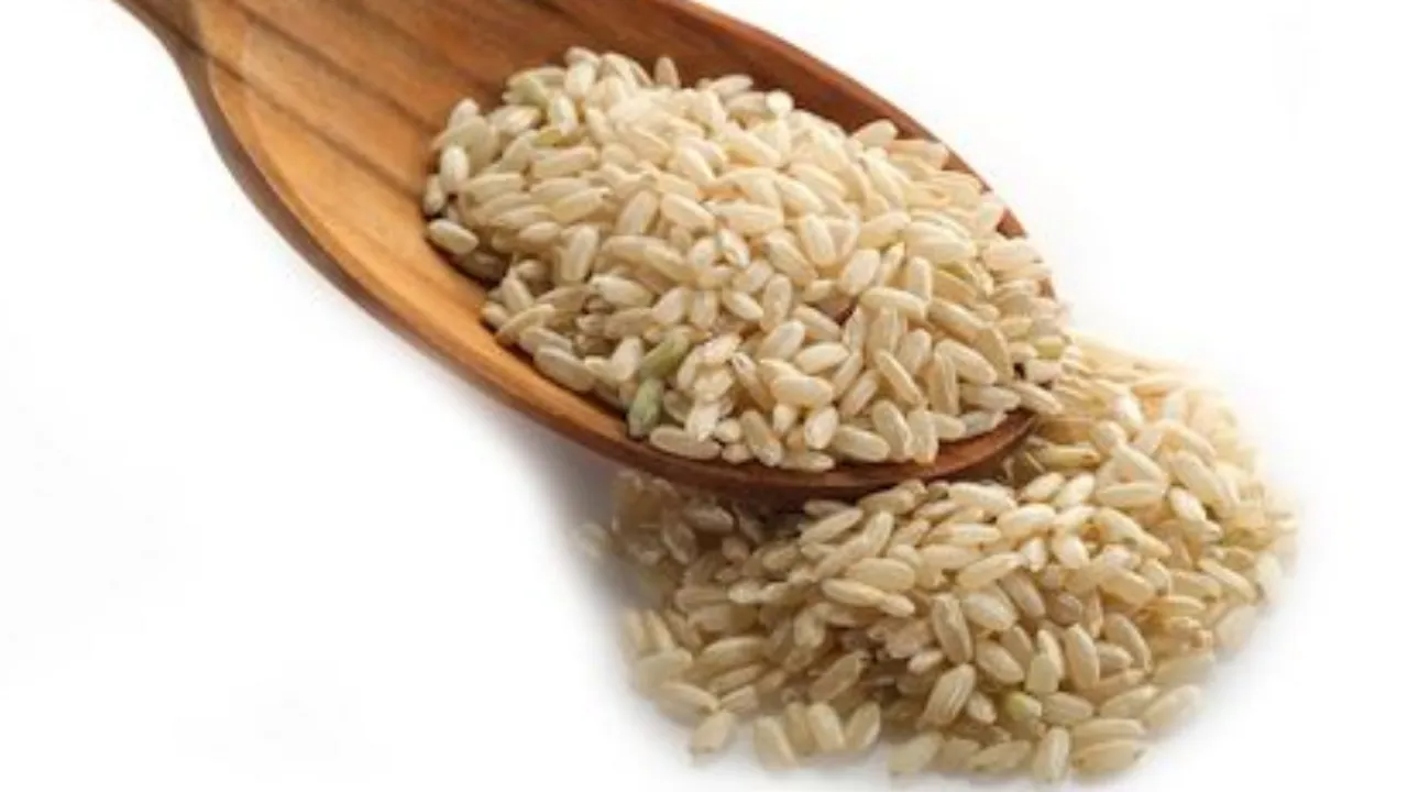 Brown Rice Protein (Pinterst)