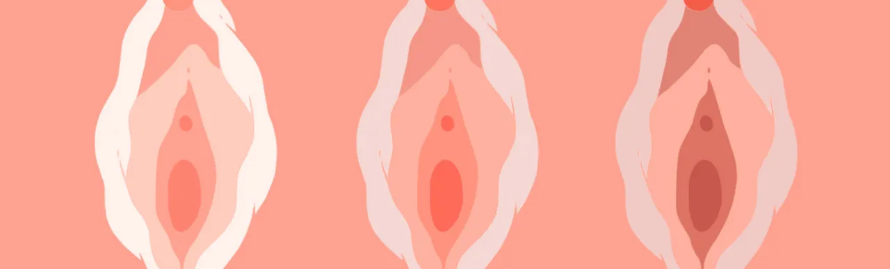 Vagina Loose 0. png