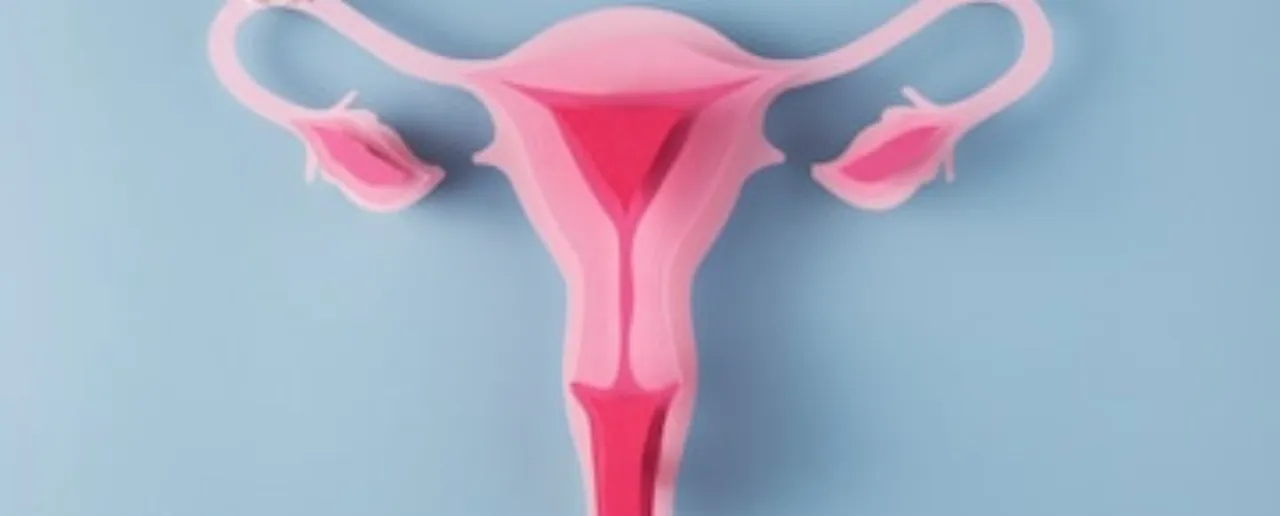Vaginal Health: योनि के बारे में हर लड़की को पता होनी चाहिए ये 8 बातें