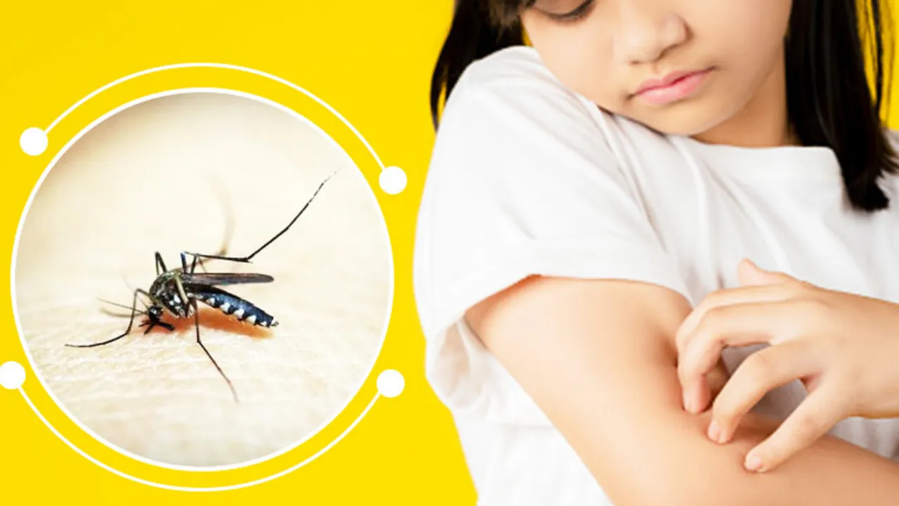 Dengue and malaria 