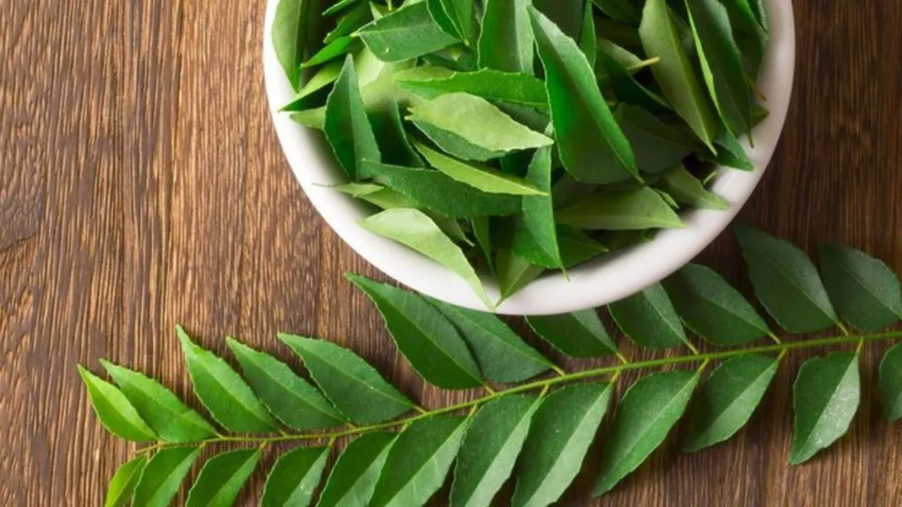 Curry leaves 