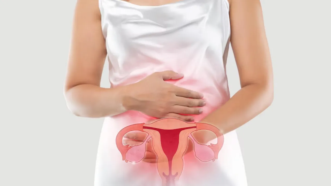 Lump In Uterus(FREEPIK)