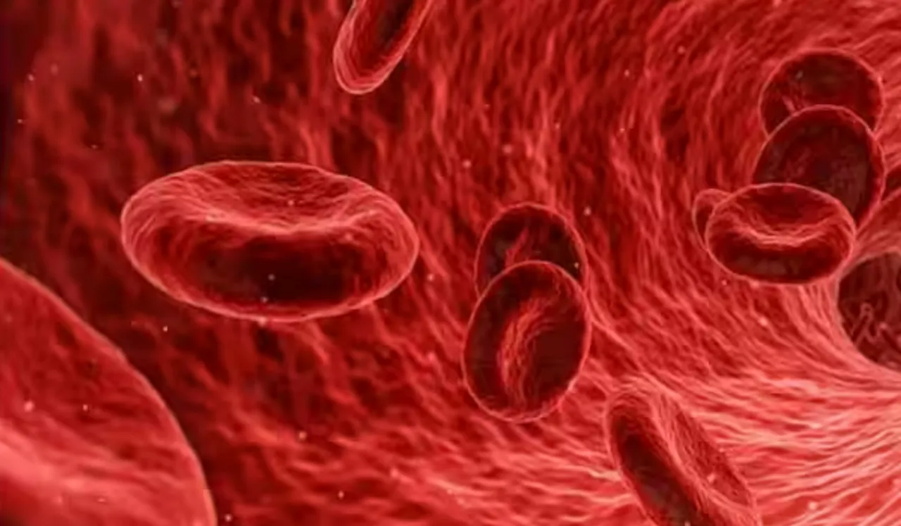 Foods That Increase Blood: शरीर में ब्लड को बढ़ाने वाले खाद्य पदार्थ