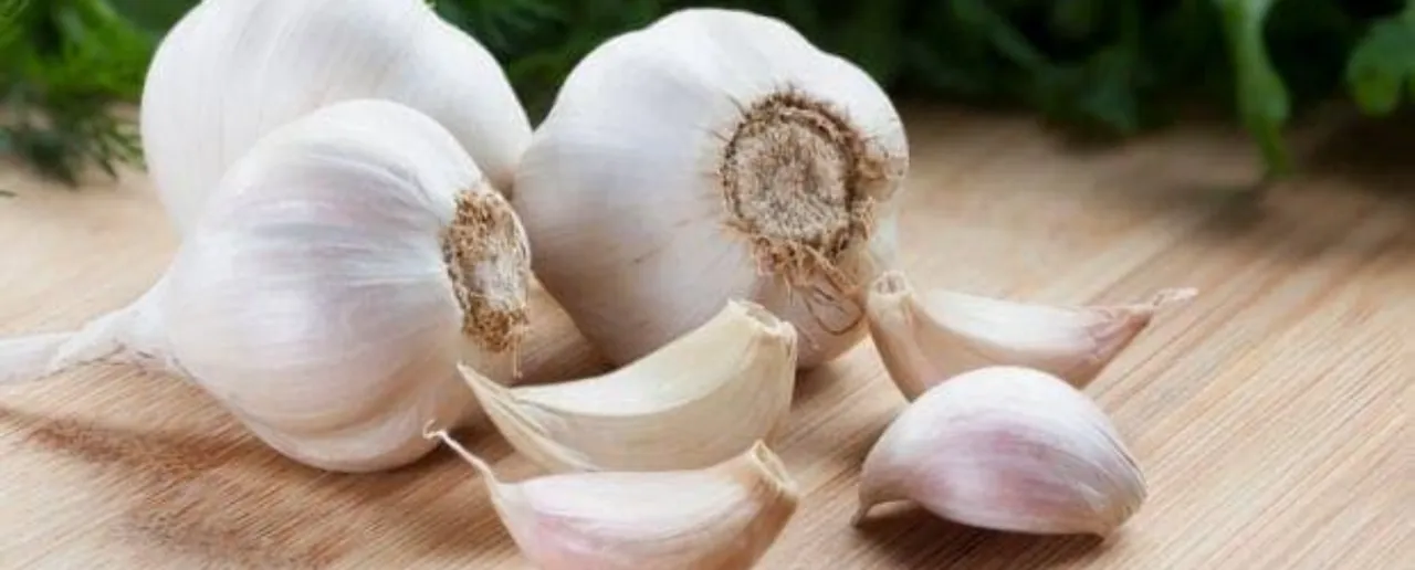 Garlic: किचन में मौजूद लहसुन के हैं कई फायदे