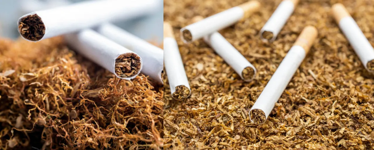 Side Effects Of Tobacco: जानें तंबाकू खाने से क्या नुकसान होतेे हैं