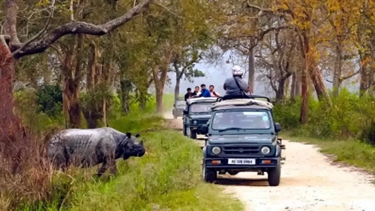 Assam's Kaziranga