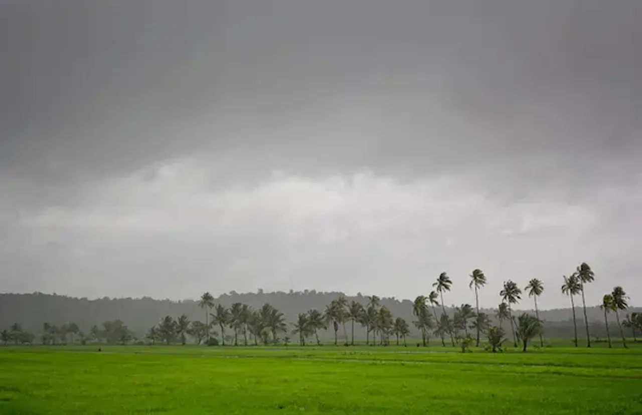 Rainwater For Skin: क्या बारिश में नहाना आपकी त्वचा के लिए अच्छा है?