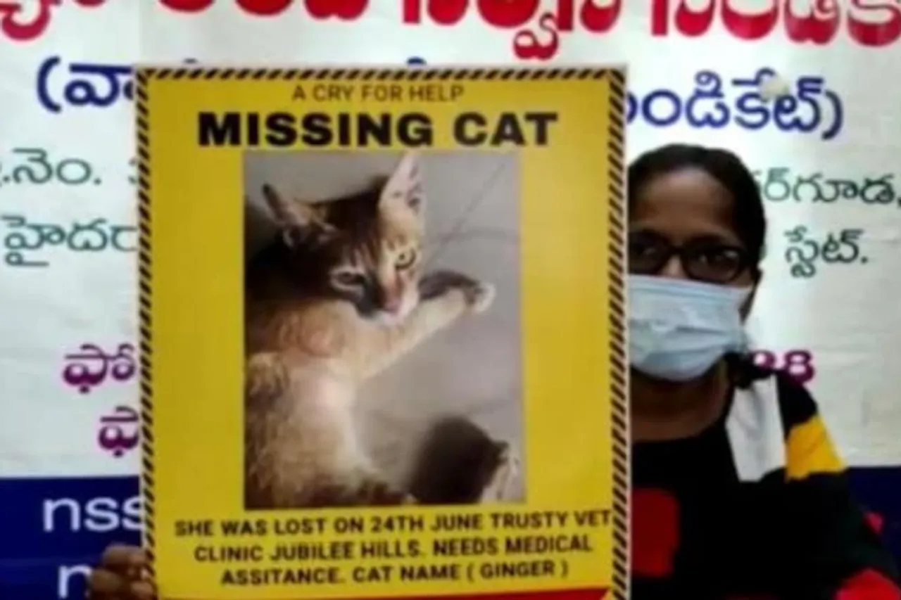हैदराबाद: मालिक ने अपनी लापता पालतू बिल्ली को वापस पाने के लिए 30 हज़ार के इनाम की घोषणा की