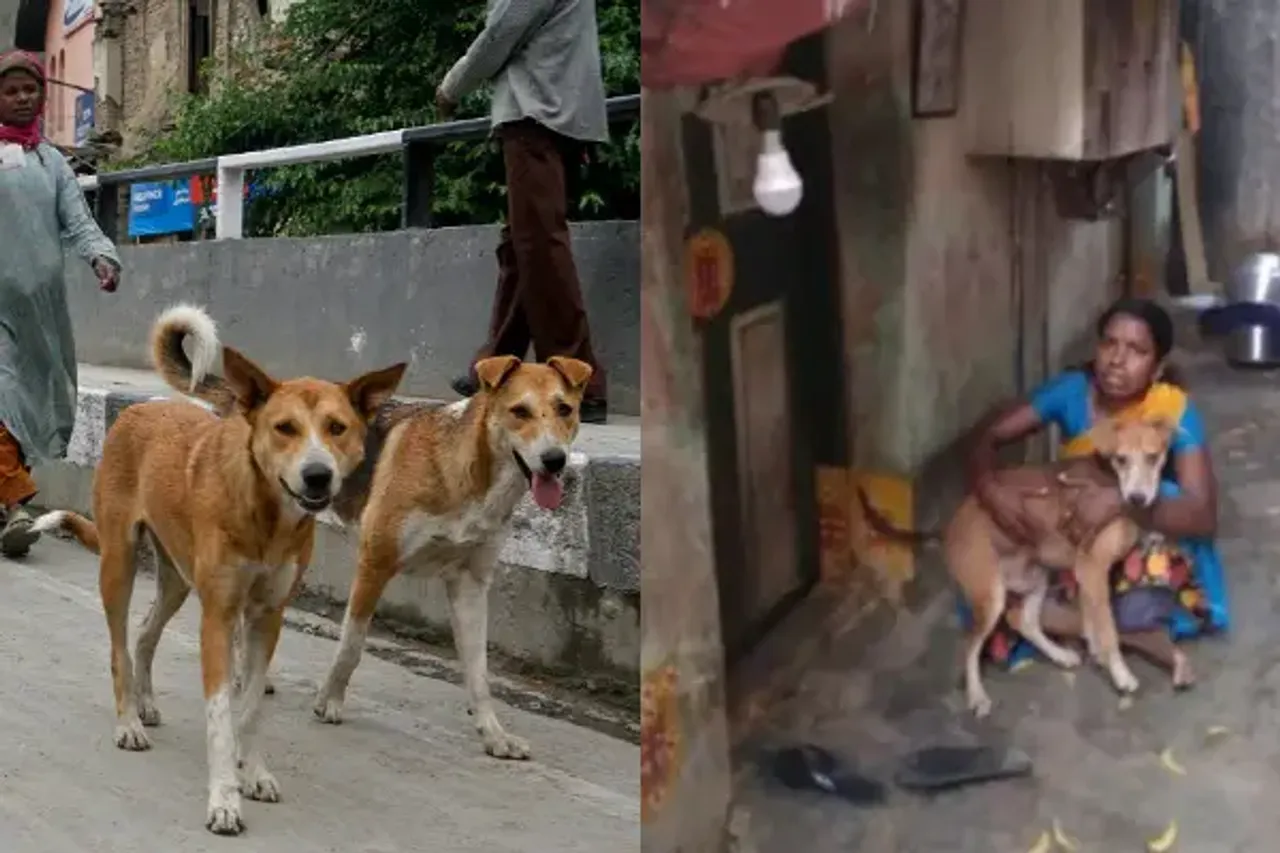 Man Beats Dog With Iron Stick: जानवरों में भी जान होती है 
