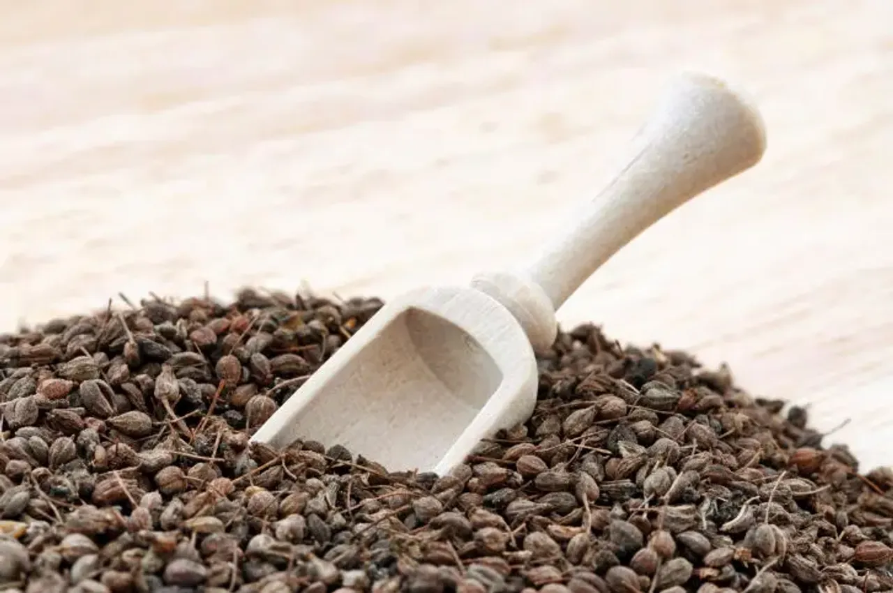 5 Benefits Of Carom Seeds: जानें अजवाइन के क्या क्या हैं फ़ायदे