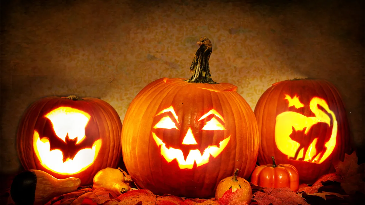 Spooky Nights Halloween Packages & Deals