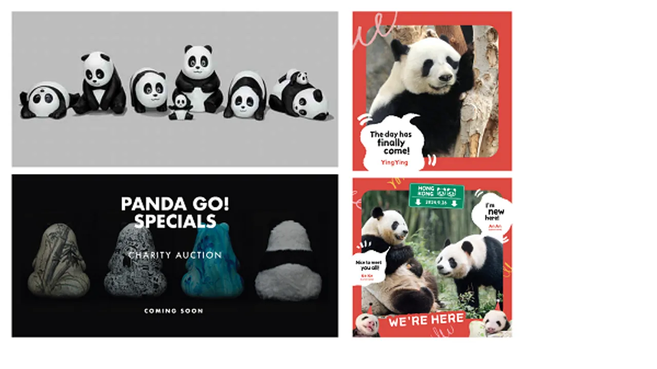 30437_panda_themed_exhibition_2024