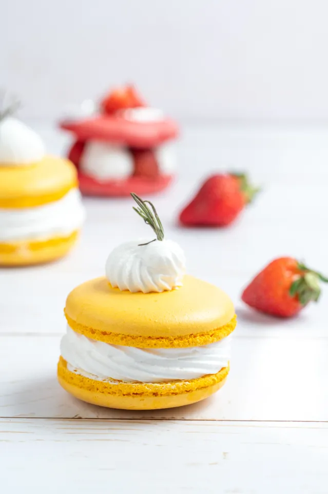 Macaron Courtyard by Marriott Bengaluru Hebbaljpg1