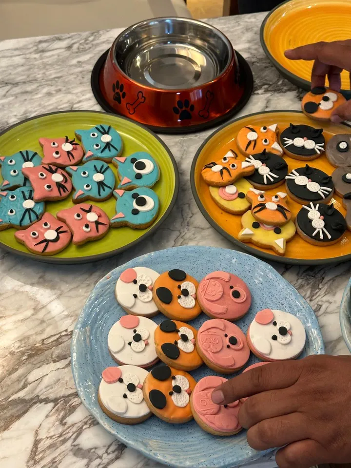 Suite Life of Pet Party at Andaz Delhi by Hyatt 2