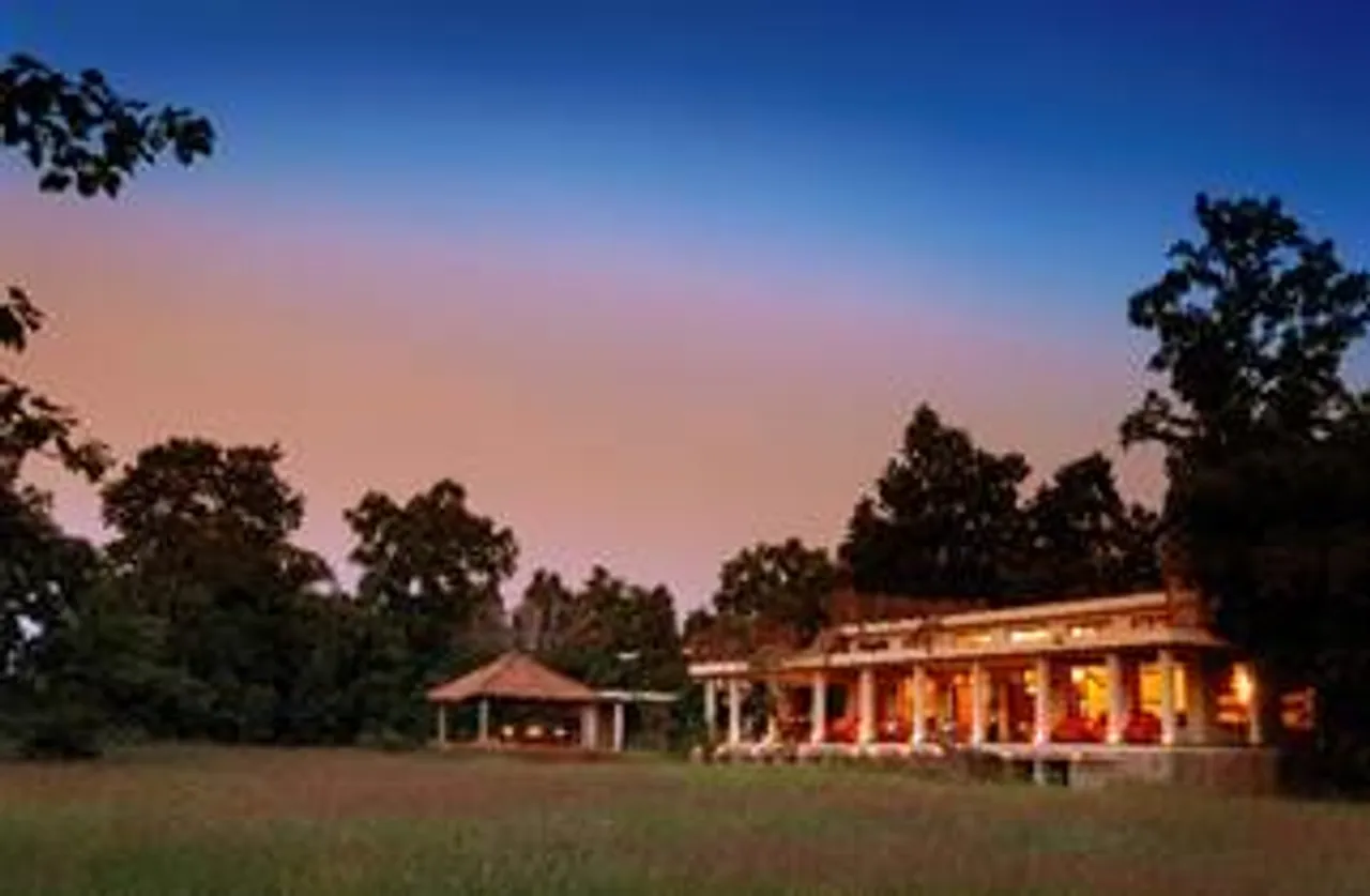 This Summer, Experience the Magnificence of the Jungles with Taj Safaris