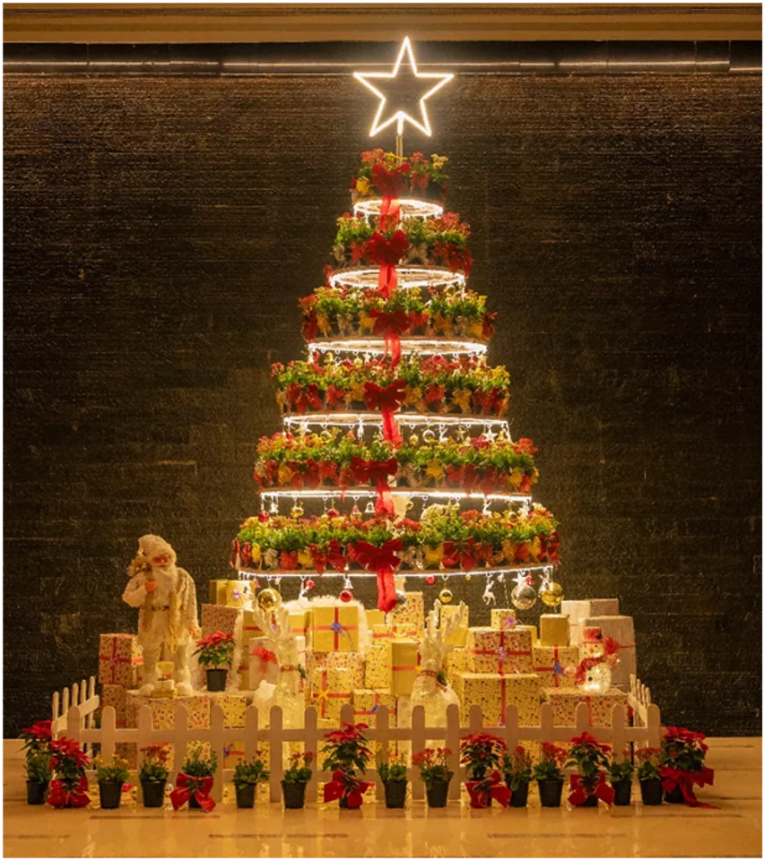 Celebrating Christmas with Nature: Hyatt Pune Introduces Unique Symphony Tree Adorned with Kalanchoe Plants