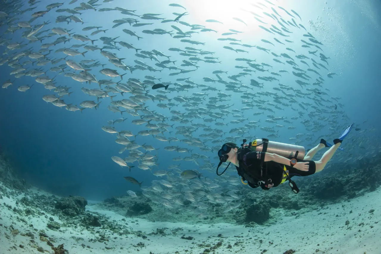 Palau Adventures with the Four Seasons Explorer.