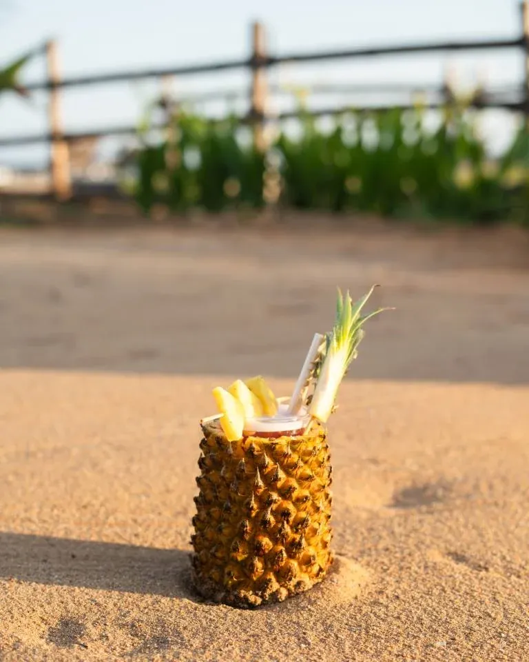 Coastal Adventure at KoKoMMo Tiki Shack