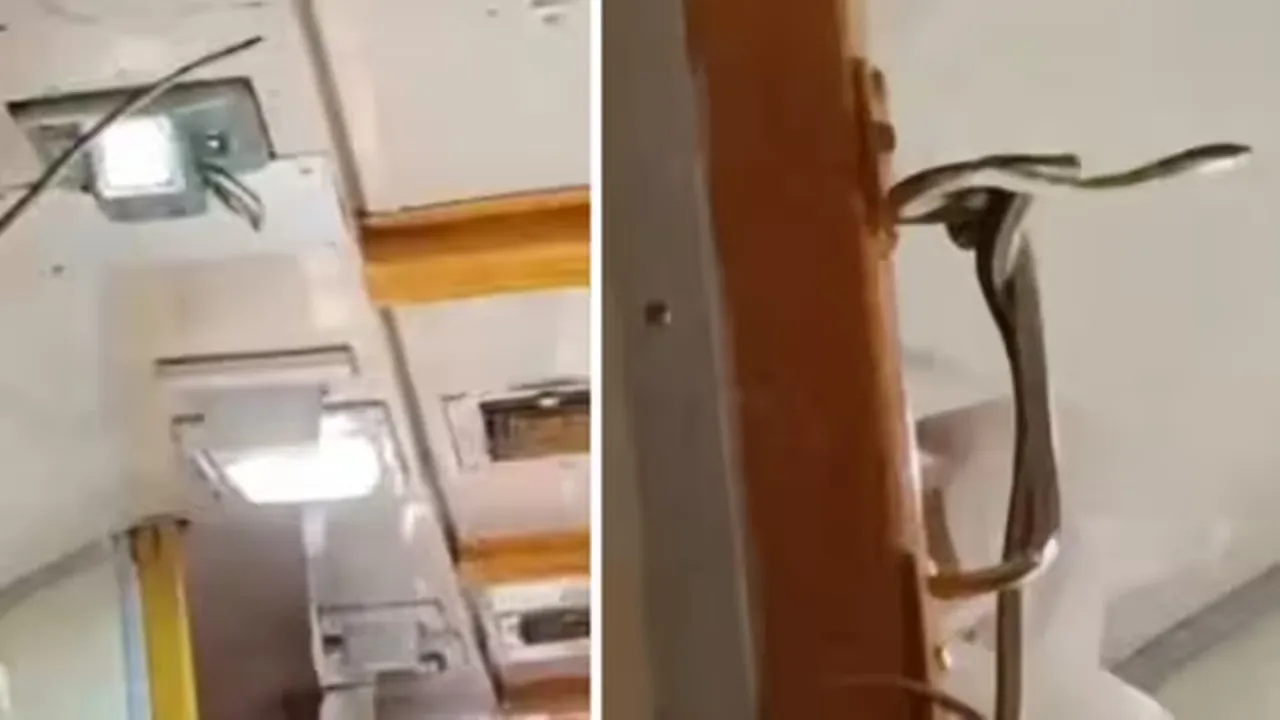viral snake 