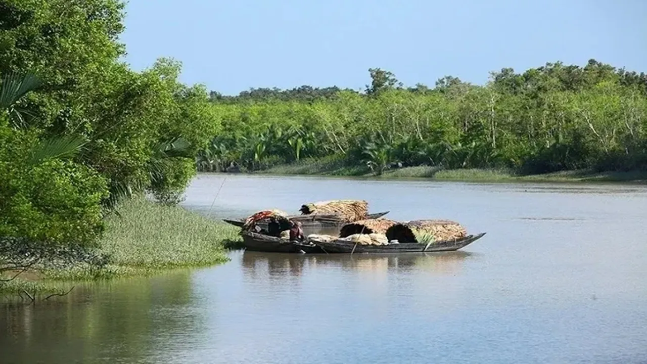 Sundarbans,South 24 Parganas,camera,cyclone, সুন্দরবন,ক্যামেরা,দক্ষিণ ২৪ পরগনা, ঘূর্ণিঝড়