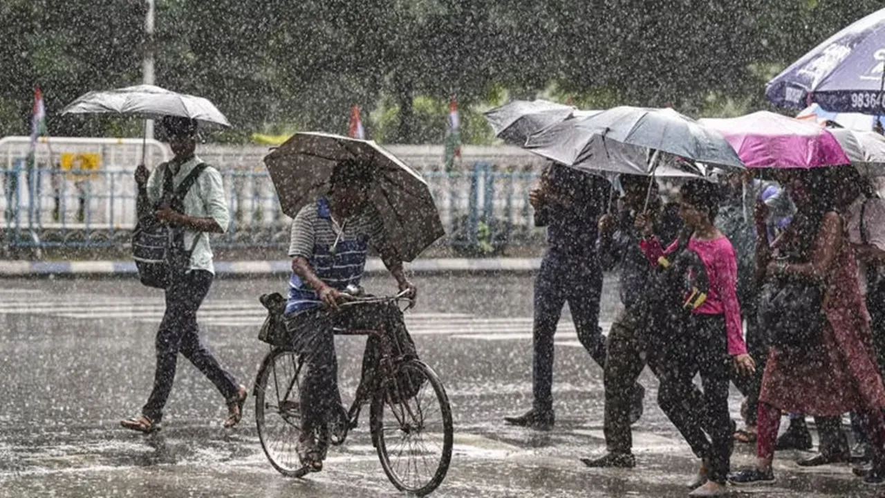 Kalipuja 2024, weather update, IMD, ওয়েদার আপডেট, Kolkata Weather, Weather Forecast, আবহাওয়ার পূর্বাভাস,কালীপুজো ২০২৪,বৃষ্টি