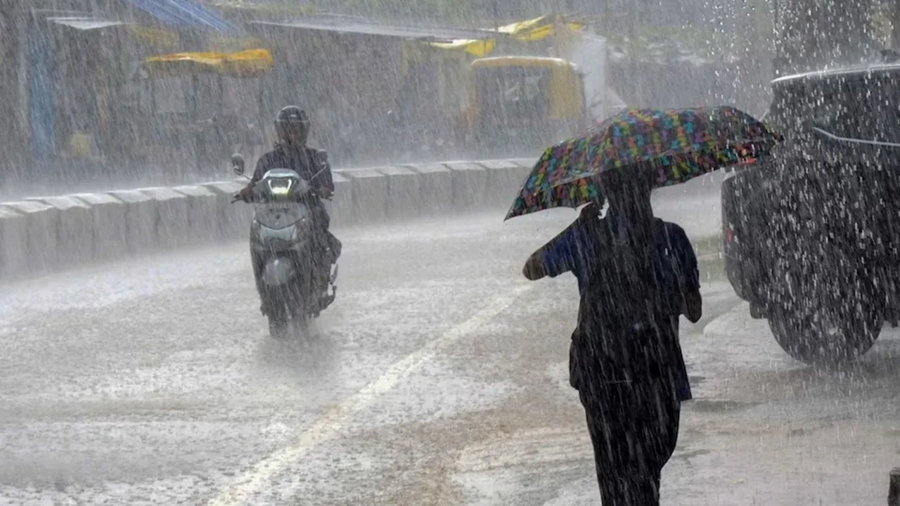 west bengal weather update, chances of light rain in several district: আবহাওয়ার পূর্বাভাস, একাধিক জেলায় বৃষ্টির সম্ভাবনা