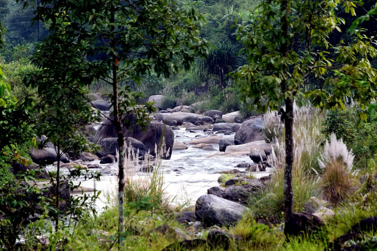 Winter offbeat travel destinations: শীতের মজা নিতে পাহাড়ের অফবিট ঘোরার জায়গা বিজনবাড়ি